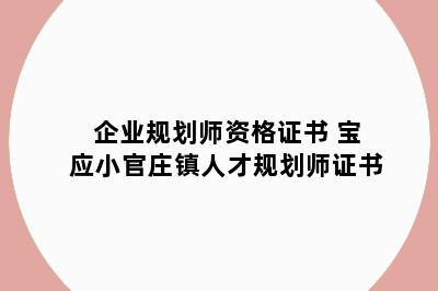 企业规划师资格证书 宝应小官庄镇人才规划师证书